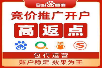 案例研究：竞价广告助力电商行业增长